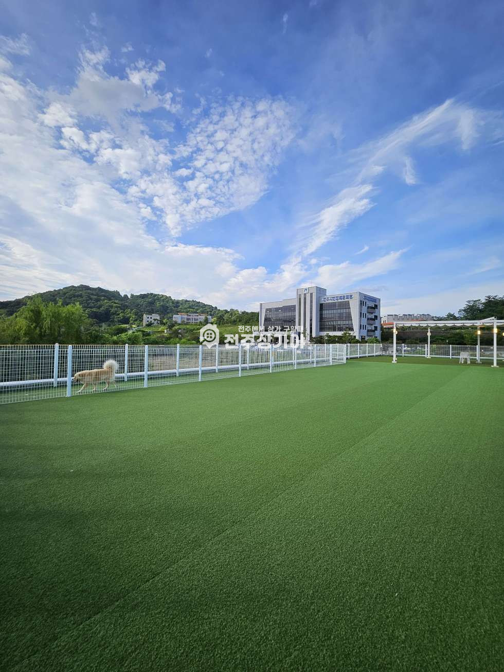 전북 전주완산구 효자동3가 효자동 대로변 210평 대형 루프탑카페 및 460평 식물원 양도양수 월세 매물번호 11641 사진 19